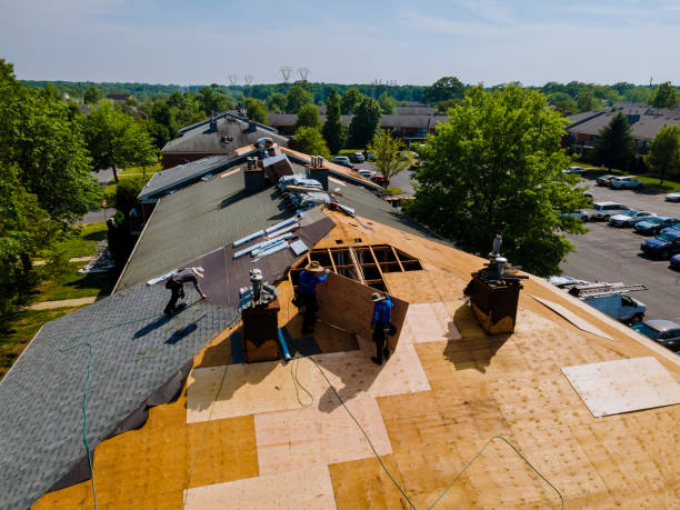 24/7 Emergency Roof Replacement experts in Gracey, KY